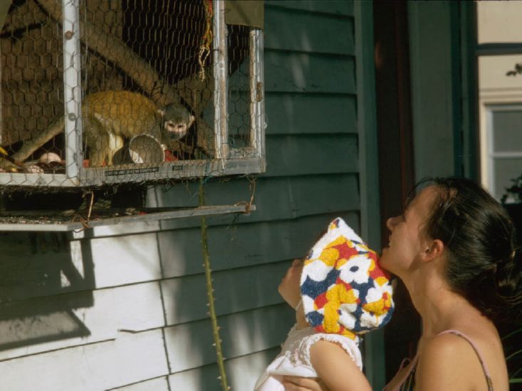  at Flamingo Motel,  Clearwater Beach, Florida - December 1971